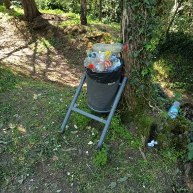 atti vandalici boschetto san miniato 5