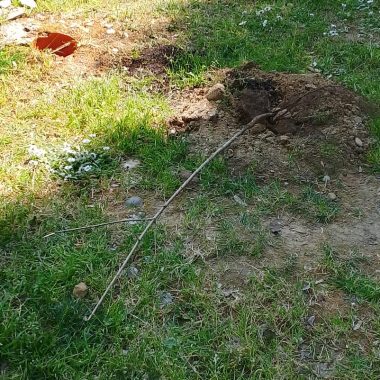 atti vandalici boschetto san miniato 9