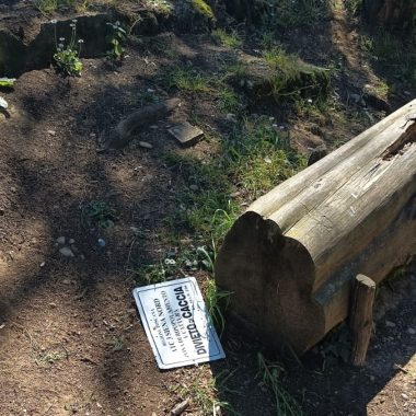 atti vandalici boschetto san miniato