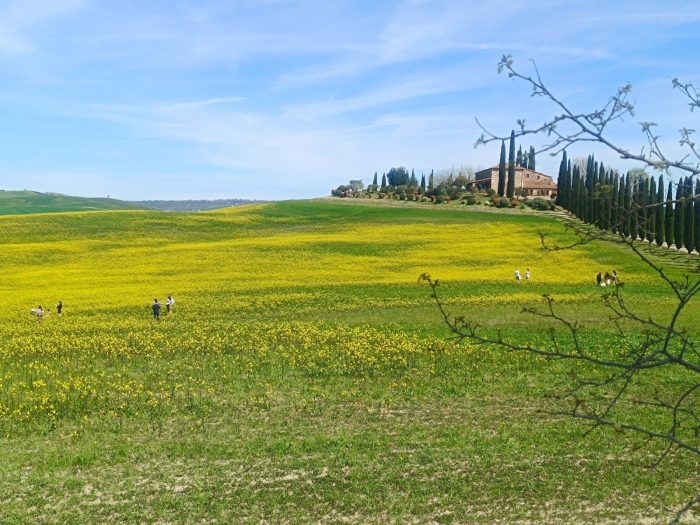 Val d&rsquo;Orcia presa d&rsquo;assalto a Pasqua: il turismo selvaggio riaccende l&rsquo;allarme sicurezza