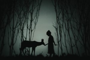 In-Box dal Vivo 2026 apre con &ldquo;Cappuccetto Rosso&rdquo;: ai Rozzi una rilettura poetica della celebre fiaba tra danza, teatro di figura e musica