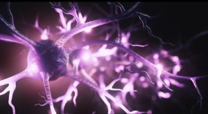 Fibromialgia, dolore cronico e qualit&agrave; di vita: serve un percorso multidisciplinare
