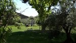 Biodiversità e aree verdi dentro le mura: Siena celebra il suo patrimonio naturale