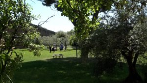 Biodiversit&agrave; e aree verdi dentro le mura: Siena celebra il suo patrimonio naturale