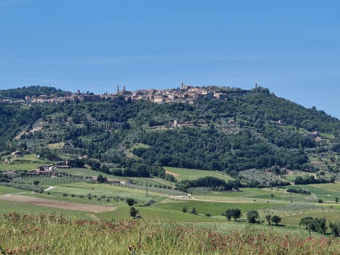 Montalcino, approvato il nuovo Regolamento per Taxi e Noleggio con Conducente