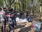 Monticiano, scoperto e smantellato un nuovo bivacco dello spaccio nei boschi