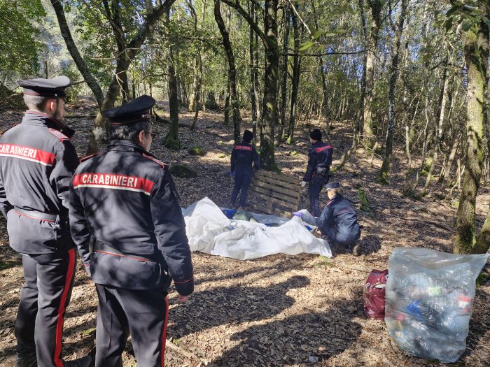 Monticiano, scoperto e smantellato un nuovo bivacco dello spaccio nei boschi