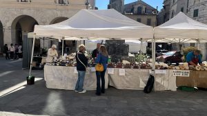 Sarteano Green torna per la terza edizione: weekend dedicato alla sostenibilit&agrave; e alla rigenerazione