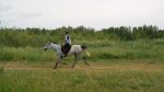 Equitazione: Ita Marzotto campionessa italiana assoluta di Endurance
