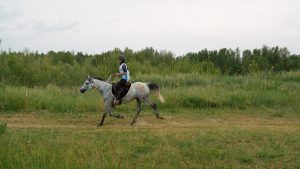 Equitazione: Ita Marzotto campionessa italiana assoluta di Endurance