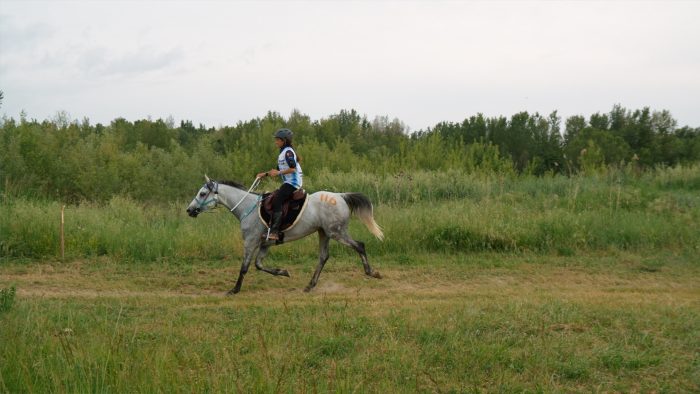 Equitazione: Ita Marzotto campionessa italiana assoluta di Endurance
