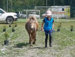Campionato pony Endurance Montalcino: Umbria sul podio, la senese Asia Petrini Oro nell’Avviamento