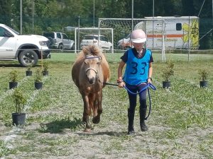 Campionato pony Endurance Montalcino: Umbria sul podio, la senese Asia Petrini Oro nell'Avviamento