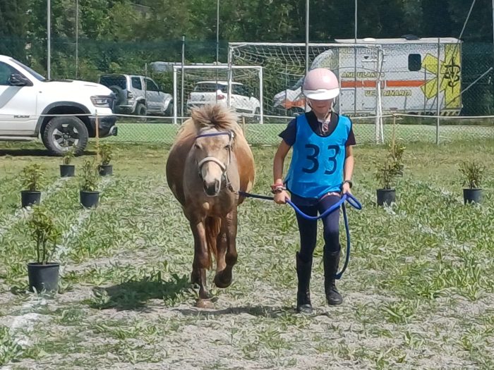 Campionato pony Endurance Montalcino: Umbria sul podio, la senese Asia Petrini Oro nell'Avviamento