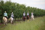 Montalcino, al via il Campionato Italiano Endurance