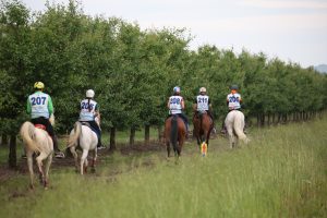 Montalcino, al via il Campionato Italiano Endurance