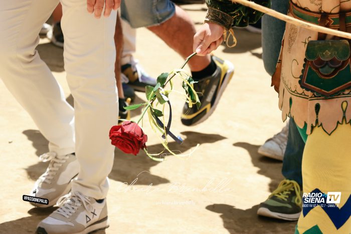 Palio di Siena, le emozioni dell'assegnazione - Le foto