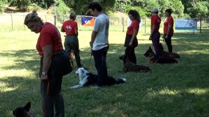 Centro cinofilo Sant'Antonio, una giornata all'insegna dello sport con il cane