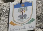 Contrada della Selva, gli appuntamenti di giugno