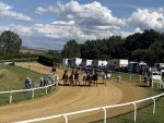 Palio, chiuso oggi il percorso di addestramento dei cavalli