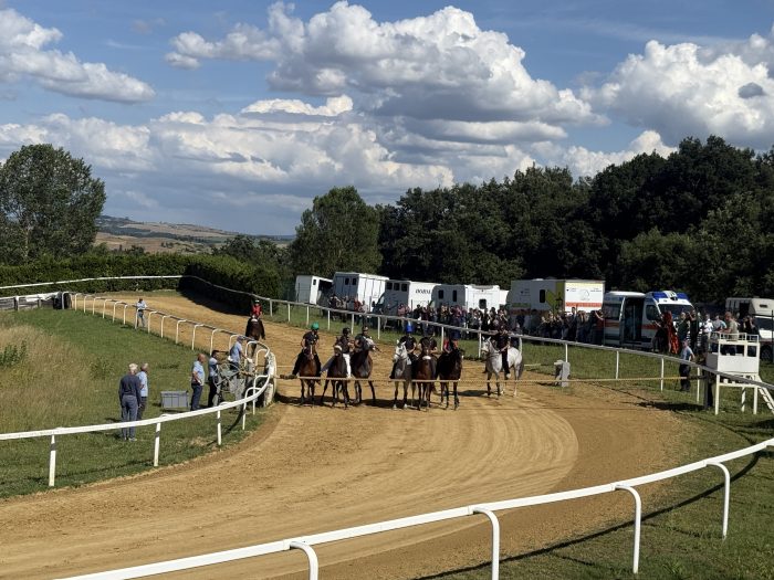 Palio, chiuso oggi il percorso di addestramento dei cavalli