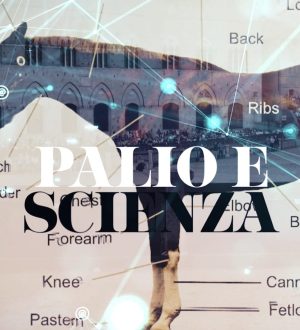 Palio e Scienza: oggi l'analisi del galoppo del cavallo da Piazza