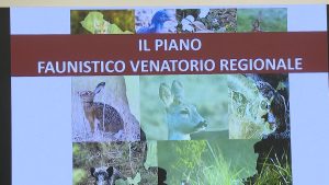 Presentato Piano faunistico venatorio della Regione Toscana. Giani: &ldquo;Equilibrio e gestione responsabile&rdquo;