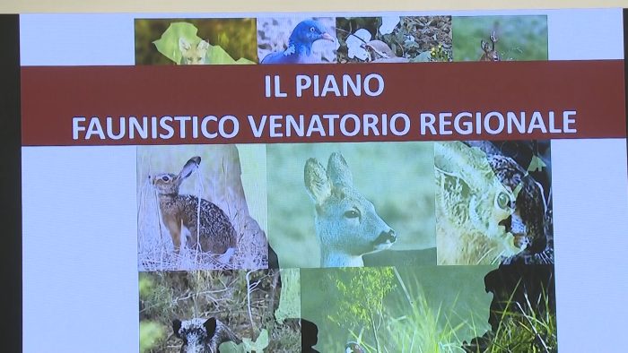 Presentato Piano faunistico venatorio della Regione Toscana. Giani: &ldquo;Equilibrio e gestione responsabile&rdquo;