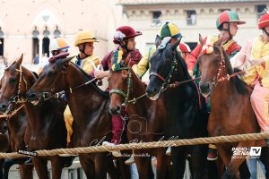 Palio 2 luglio, ecco l'ordine ai canapi della Quarta Prova