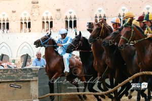 Palio 2 luglio, ecco l'ordine ai canapi della Terza Prova