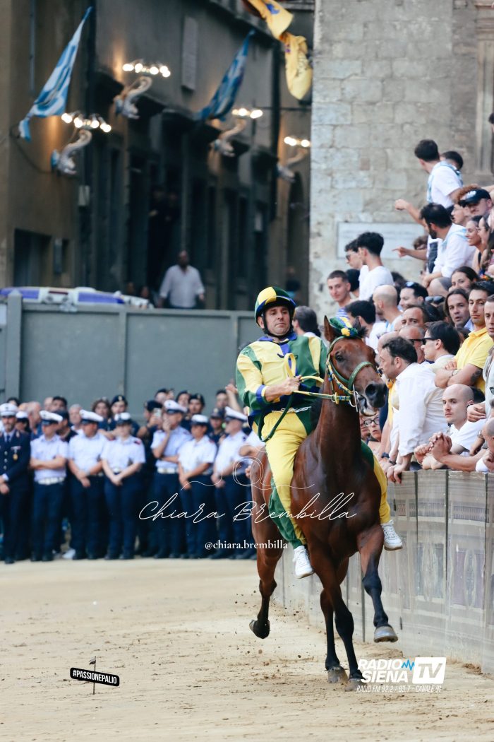 Palio di luglio: paura nel Bruco per la caduta di Velluto. Accertamenti negativi, ma in forse la prova di domattina
