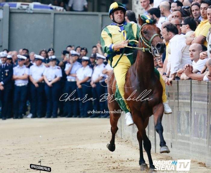 Palio di luglio: paura nel Bruco per la caduta di Velluto. Accertamenti negativi, ma in forse la prova di domattina