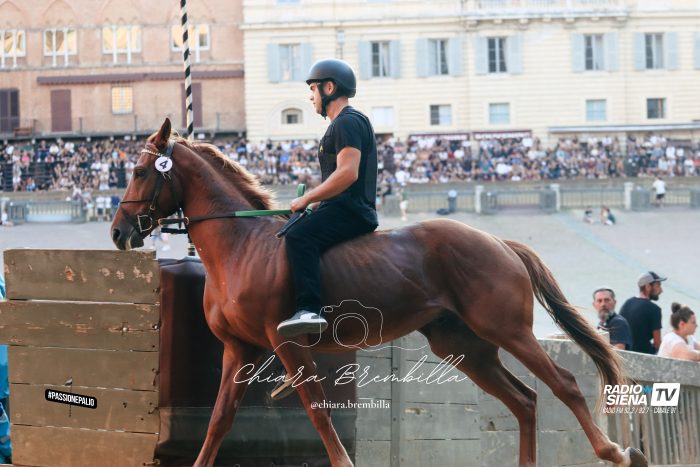 Palio 16 agosto 2026, firmate le prime ordinanze sindacali