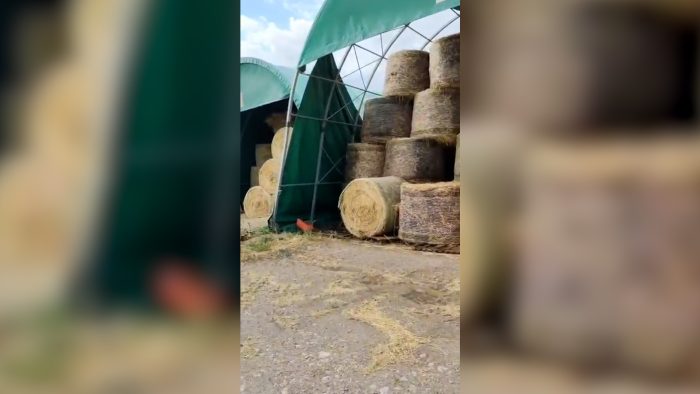 Tromba d&rsquo;aria colpisce azienda agricola a Ville di Corsano: distrutti tunnel, capannoni e fieno