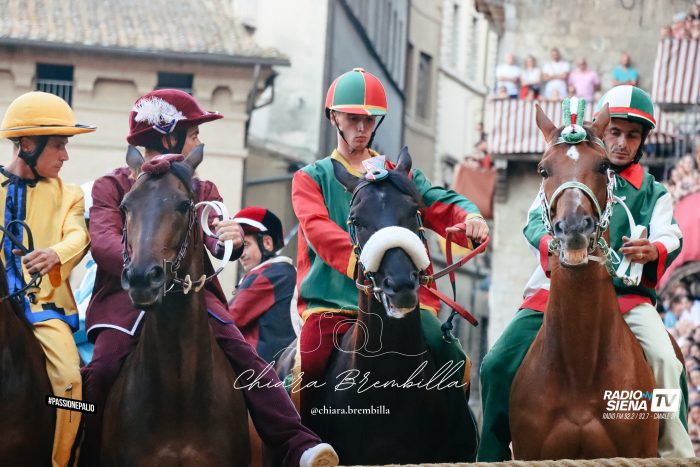 Palio di luglio. Fastidio: "Eberardo sar&agrave; un buon cavallo da Piazza"