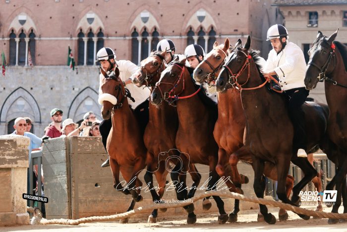 Palio 16 agosto, l&rsquo;elenco dei cavalli ammessi  alle prove regolamentate e alla Tratta