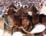 Palio 2 luglio 2026, le foto della Tratta