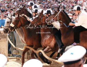 Palio 2 luglio 2026, le foto della Tratta