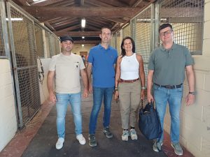 Palio. Gemellaggio tra la Asl Tse e quella di Nuoro per la tutela degli equidi