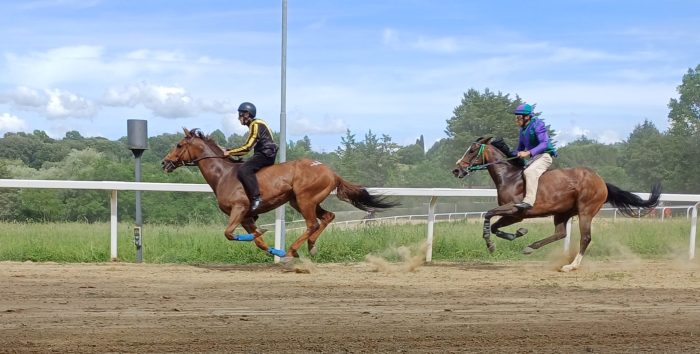 Verso il Palio. A Monticiano volano Diodoro e Benitos