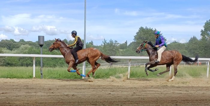 Verso il Palio. A Monticiano volano Diodoro e Benitos