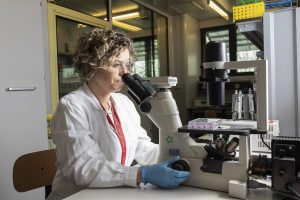 Fondazione Toscana Life Sciences, approvato il bilancio 2025