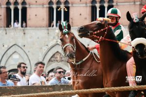 Seconda prova del Palio di luglio 2026 - Le foto