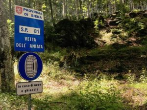 Amiata, al via i lavori di manutenzione straordinaria sulla S.P. 81 della Vetta