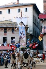 Palio di Siena, il tempo sospeso del corteo storico – La gallery (1° parte)