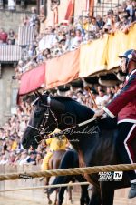 Palio di luglio, Gingillo: “Il mossiere non ha fatto grandi errori. La mossa era buona”