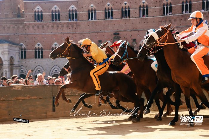 Quarta prova del Palio di luglio 2026 - Le foto