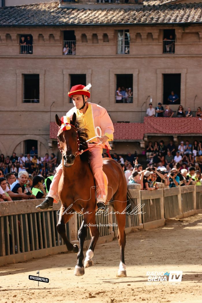 Palio di luglio, il Valdimontone ha scelto il soprannome di Nieddu: sar&agrave; Lesto