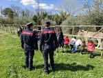 Educazione ambientale, oltre 700 bambini nelle riserve naturali dei Carabinieri