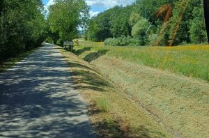 Sovicille, il Consorzio di Bonifica al lavoro sul fosso Serpenna